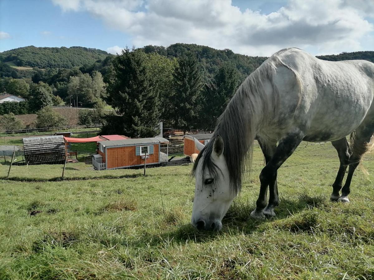 Zuruck Zur Natur - Urlaub Im Zirkuswagen, Sommeratelier Oder Schindelwagen Adenbach Esterno foto