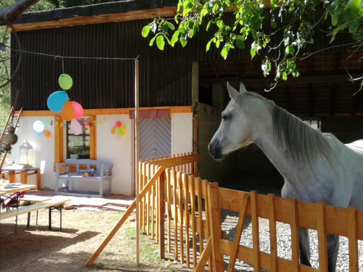 Zuruck Zur Natur - Urlaub Im Zirkuswagen, Sommeratelier Oder Schindelwagen Adenbach Esterno foto