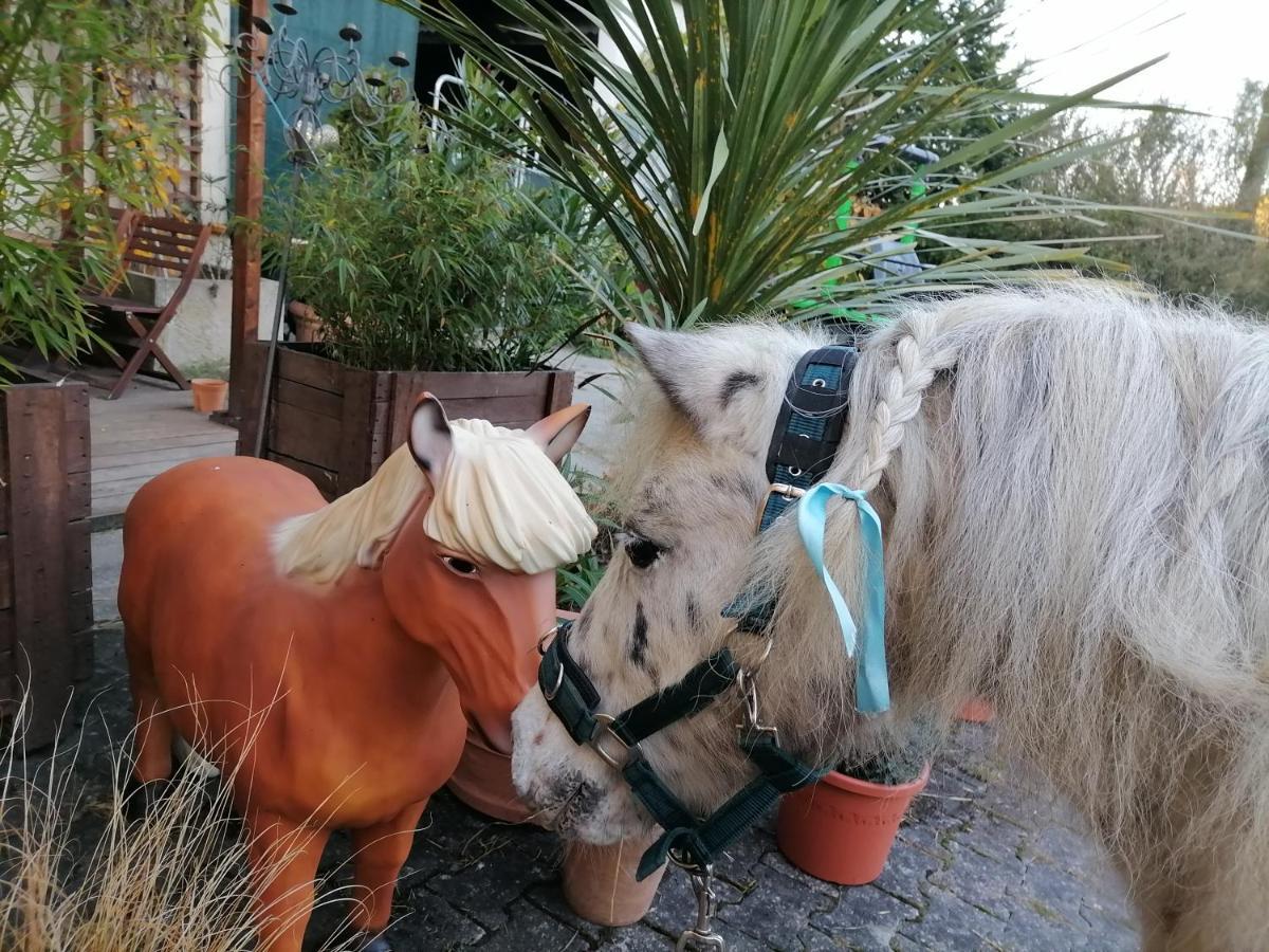 Zuruck Zur Natur - Urlaub Im Zirkuswagen, Sommeratelier Oder Schindelwagen Adenbach Esterno foto