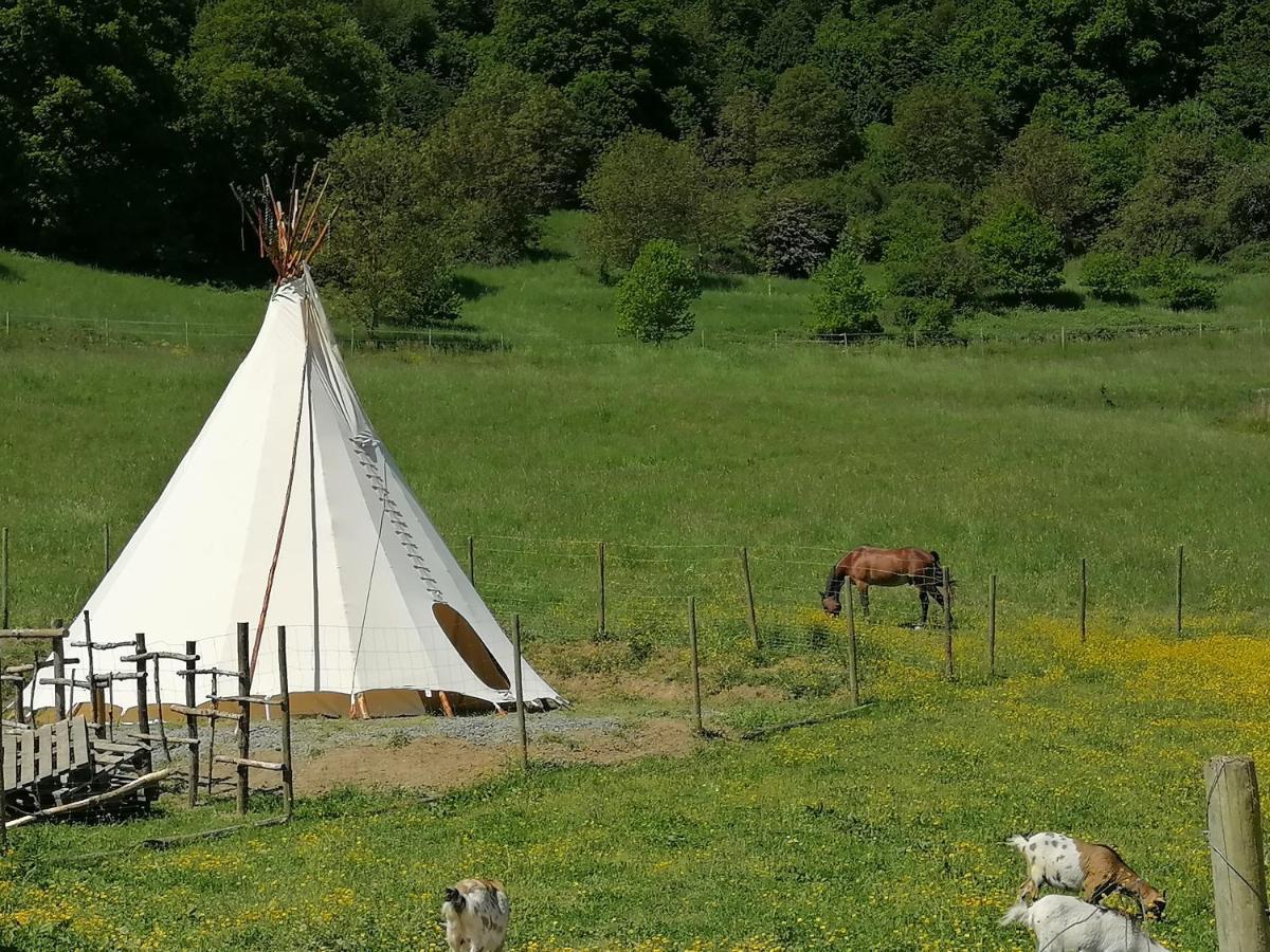 Zuruck Zur Natur - Urlaub Im Zirkuswagen, Sommeratelier Oder Schindelwagen Adenbach Esterno foto