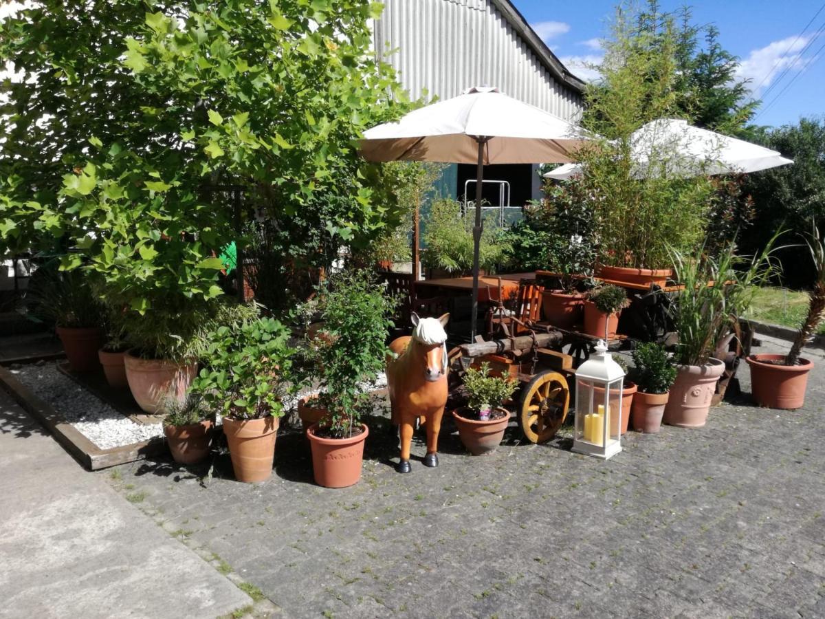 Zuruck Zur Natur - Urlaub Im Zirkuswagen, Sommeratelier Oder Schindelwagen Adenbach Esterno foto